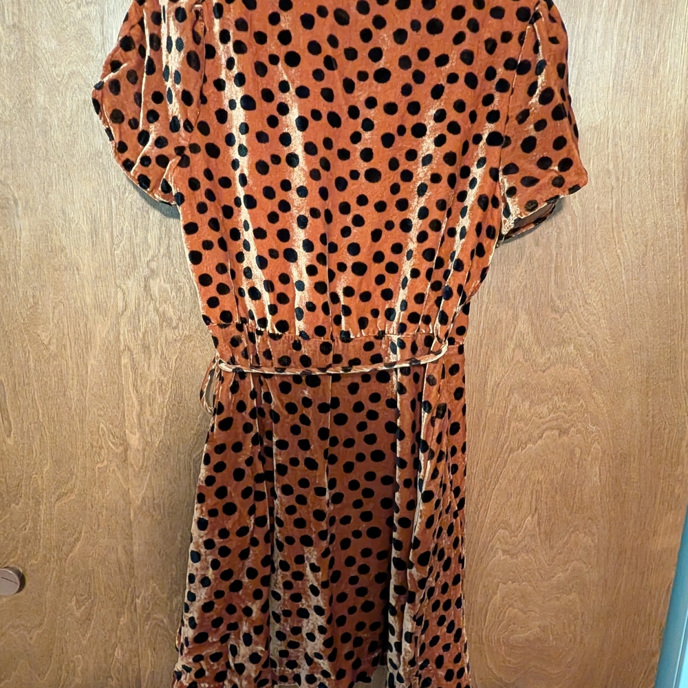 Madewell Rust Velvet Polka Dot Wrap Dress - Picture 3 of 3